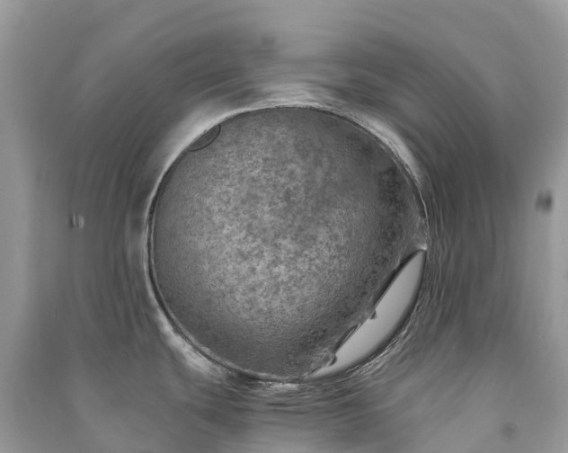X0000091011439200708091552