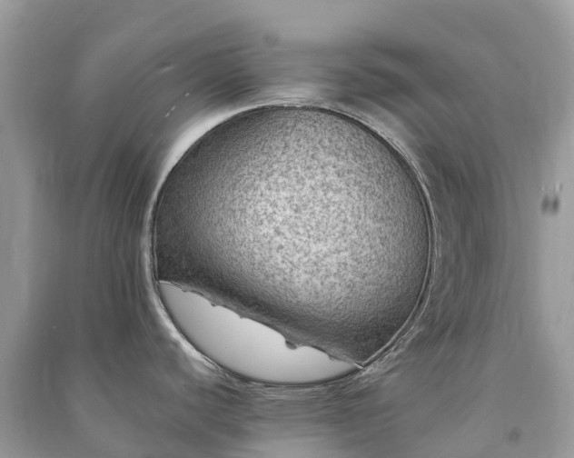 X0000091011440200708091552