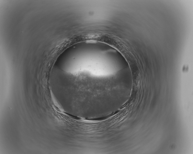 X0000091011441200708091551