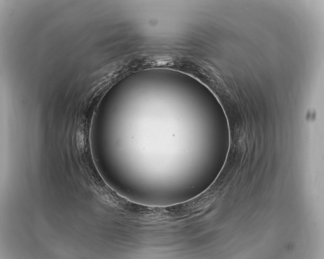 X0000091011442200708091551