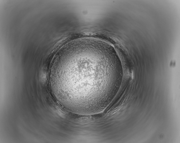 X0000091011444200708091551