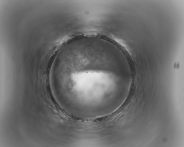 X0000091011445200708091551