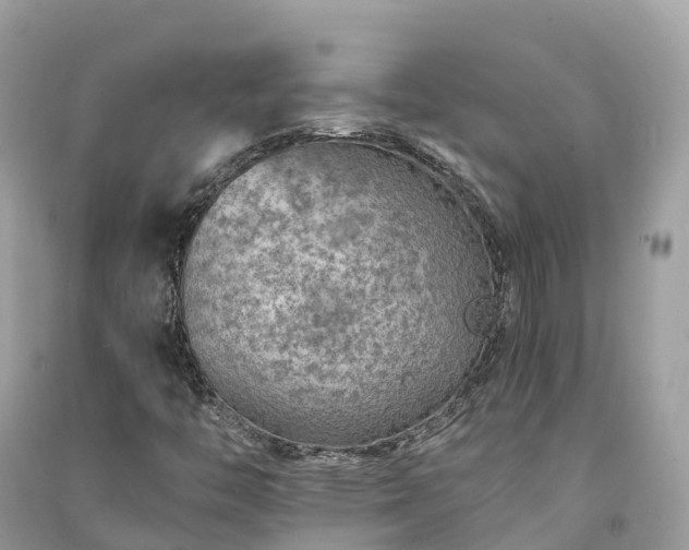X0000091011446200708091551