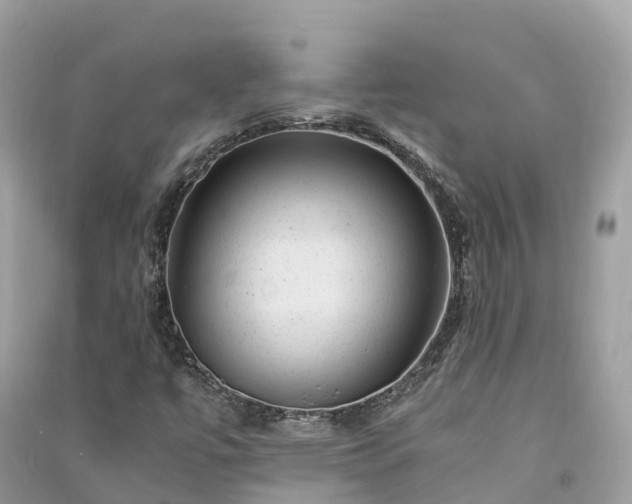 X0000091011447200708091551