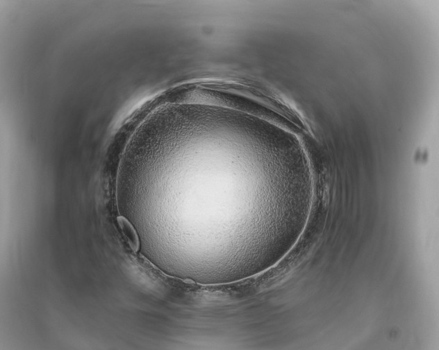 X0000091011448200708091551