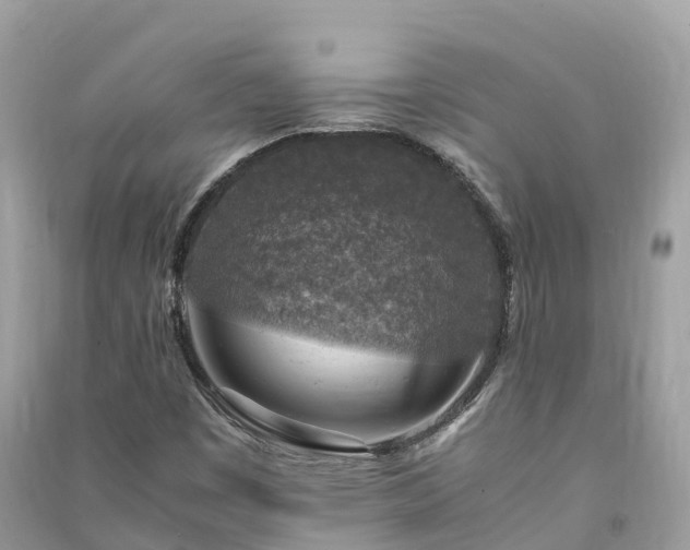 X0000091011449200708091551