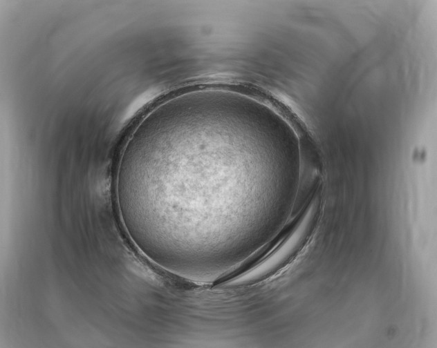 X0000091011450200708091551