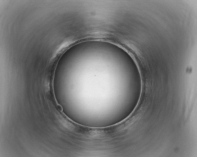 X0000091011451200708091551