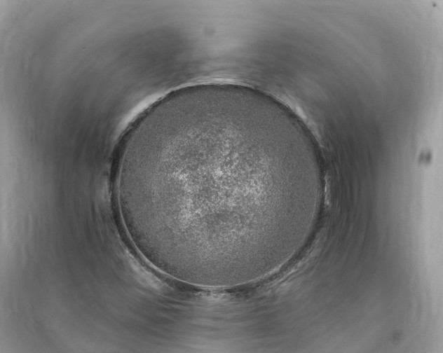 X0000091011452200708091551