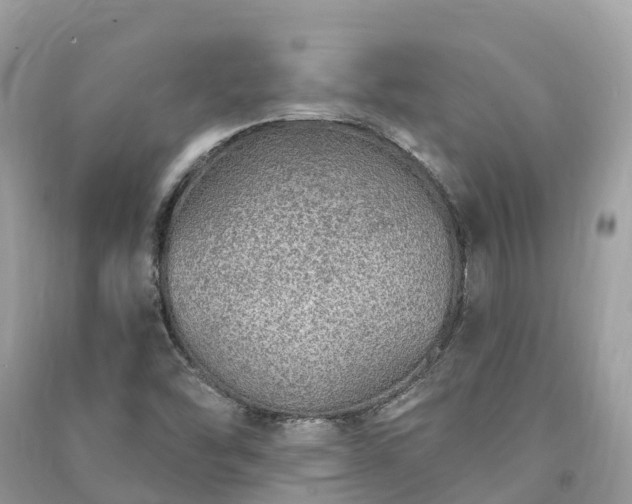 X0000091011454200708091551
