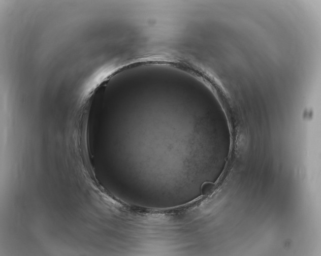 X0000091011455200708091551