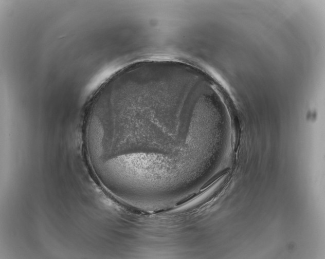 X0000091011456200708091551