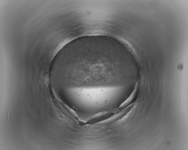 X0000091011457200708091551
