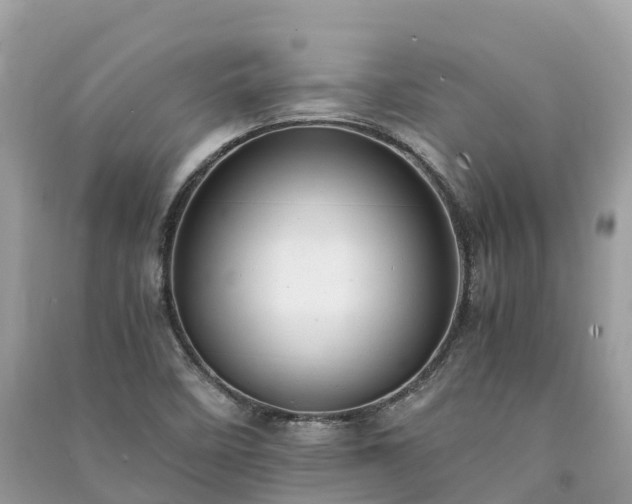 X0000091011458200708091551