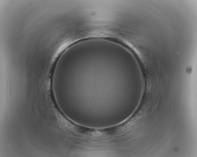 X0000091011459200708091551
