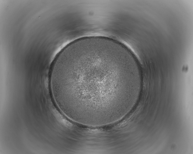 X0000091011460200708091551