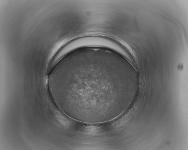 X0000091011461200708091551