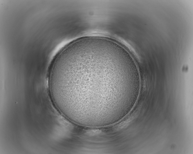 X0000091011462200708091551