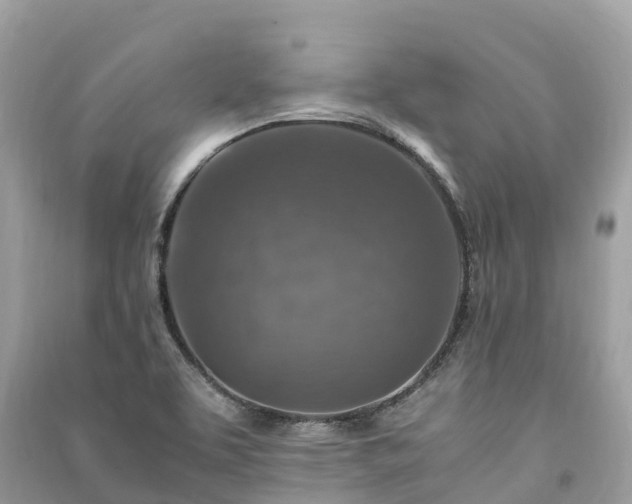 X0000091011463200708091551