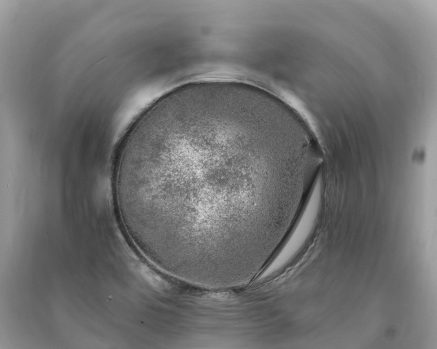 X0000091011464200708091551