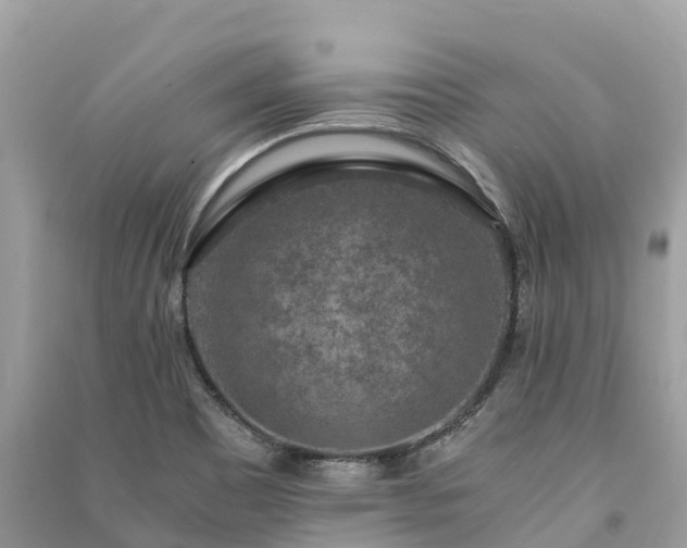 X0000091011465200708091551
