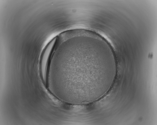 X0000091011469200708091551