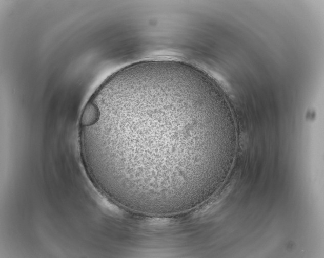 X0000091011470200708091551