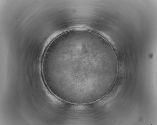 X0000091011474200708091551