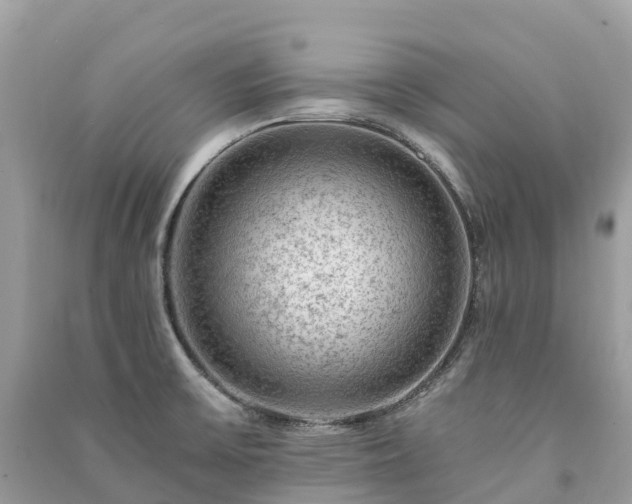 X0000091011475200708091551