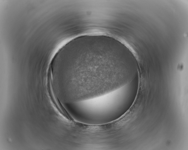 X0000091011477200708091551