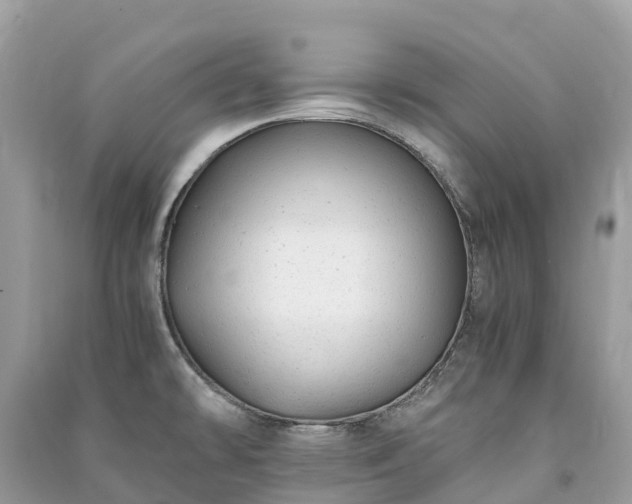 X0000091011478200708091551