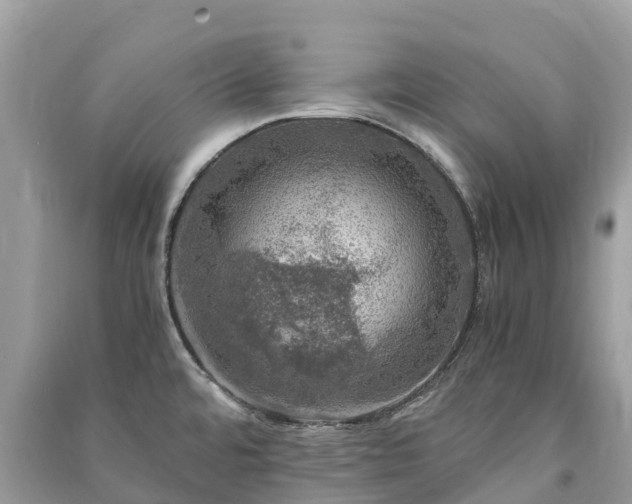 X0000091011480200708091551