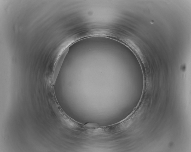 X0000091011481200708091551