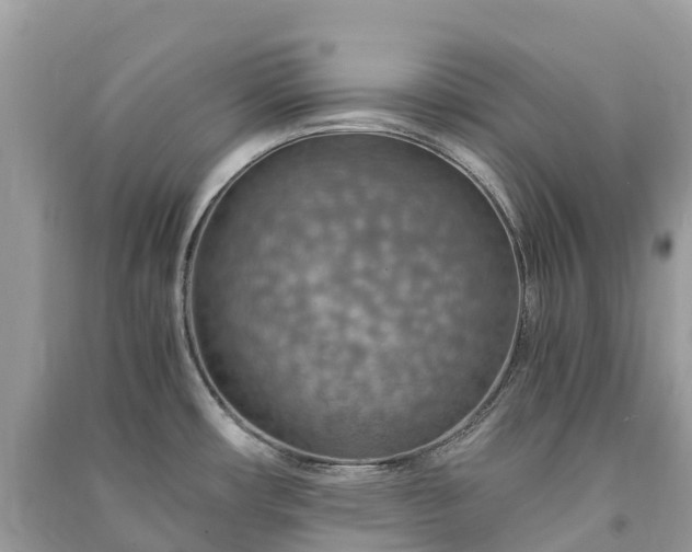 X0000091011482200708091551