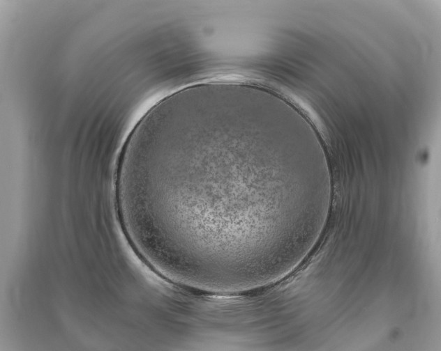 X0000091011483200708091551