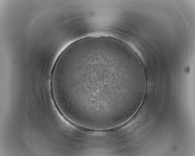 X0000091011484200708091551