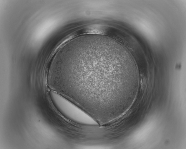 X0000091011487200708091551