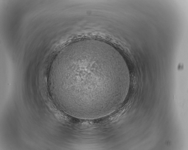 X0000091011489200708091550