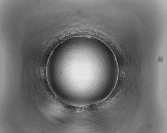 X0000091011490200708091550