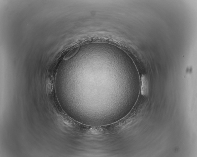 X0000091011491200708091550