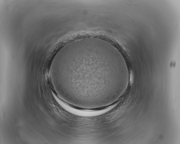 X0000091011492200708091550