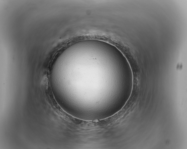 X0000091011493200708091550