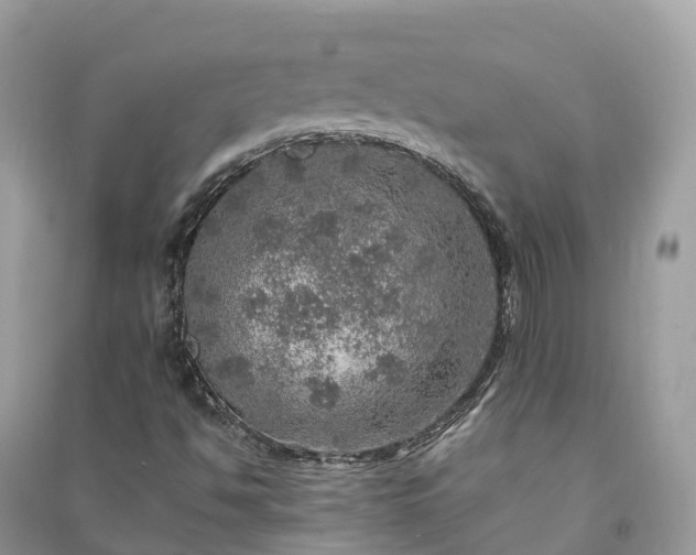 X0000091011494200708091550