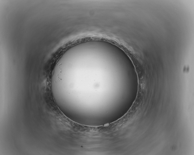 X0000091011495200708091550