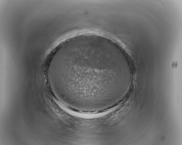X0000091011496200708091550
