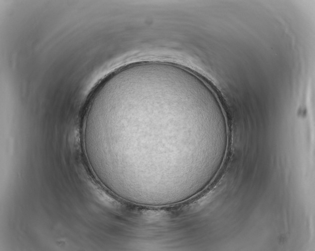 X0000091011498200708091550