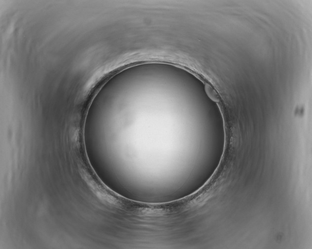 X0000091011499200708091550