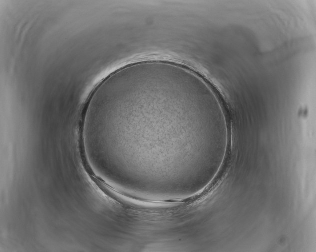X0000091011500200708091550