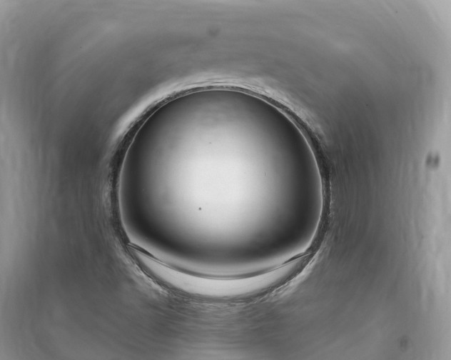 X0000091011502200708091550