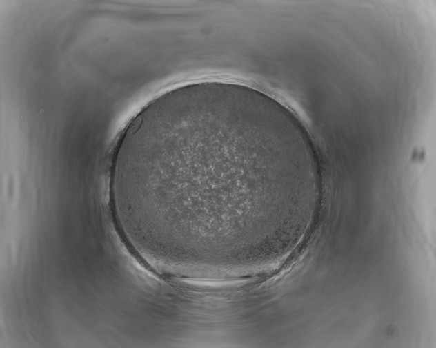 X0000091011504200708091550